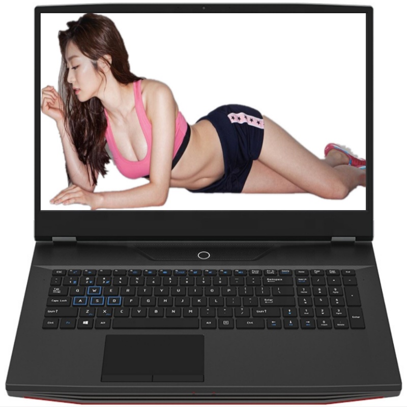 17.3 inch FHD IPS Gaming Lapto - Pc Gaming Intel Core I7 评论和价格